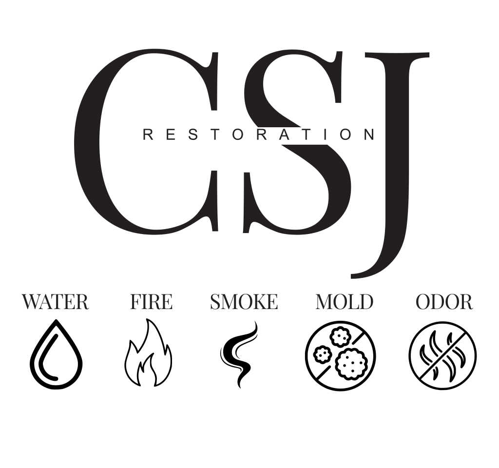 CSJ Final logo scaled