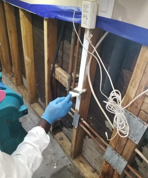 PHOTO 2025 09 21 07 47 52 3